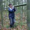 学園祭に使う竹を伐りに長岡京に　　１０／１９