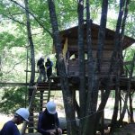 木匠塾2日目　ツリーハウス解体作業の段取り　　8月4日