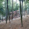 竹林小屋−１１　垂木を仕込みました　１２月９日