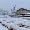 京北森林組合倉庫建設ー６　雪の中のフレーム組み立て　1月24,25日