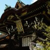 建築科１年 北野天満宮と平野神社の見学