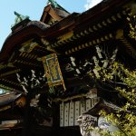 建築科１年 北野天満宮と平野神社の見学