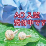 第2回AO入試受付中です!