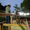 17代目堀川茶室2025 建築日誌　　建て方・棟木編　9月20日〜
