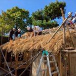 17代目堀川茶室2025 建築日誌-3　　稲葺編　10月6日〜7日